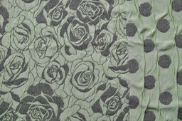 DSCF2562