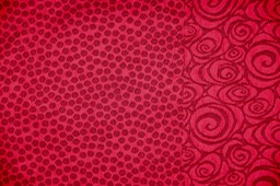 DSCF2569