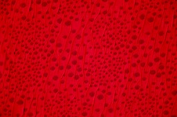 DSCF7084