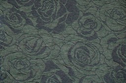 DSCF7091