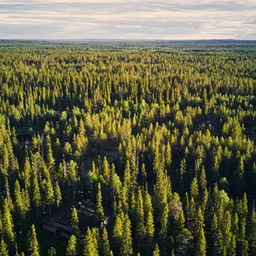 Finnland & Norwegen