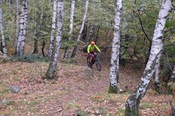 DSCF0128