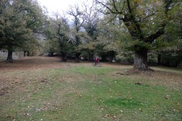 DSCF0147