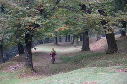 DSCF0156