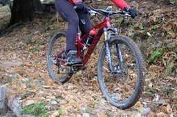DSCF0161