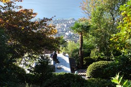 DSCF0265