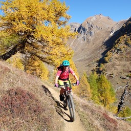 Goppenstein-Leukerbad-Gemmi (Gondel)-Kandersteg