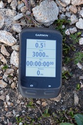 DSCF1408.jpg