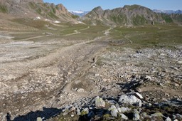DSCF1434.jpg