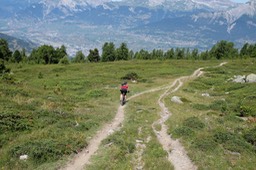 DSCF1461.jpg