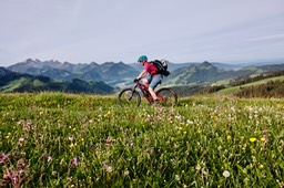DSCF2167