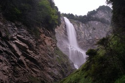 DSCF2398