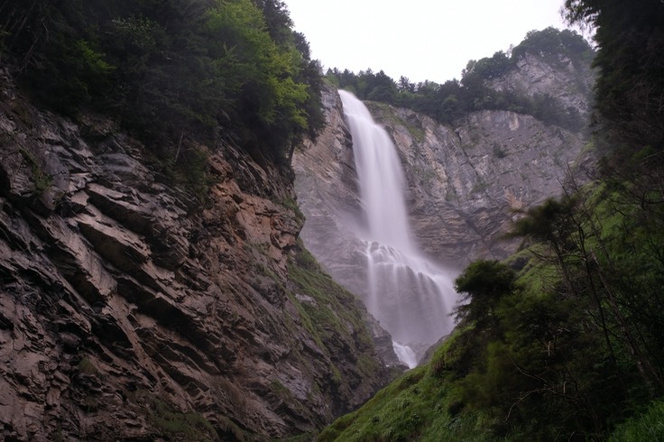 DSCF2398