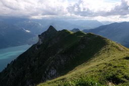 DSCF2547