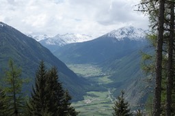 DSCF2934