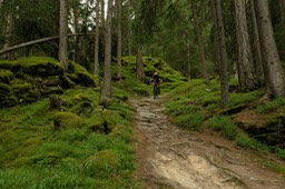 DSCF3240
