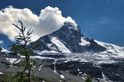 DSCF3379.jpg