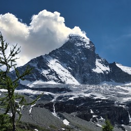 DSCF3379.jpg