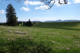 DSCF3804.jpg