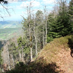 Mont Raimeux