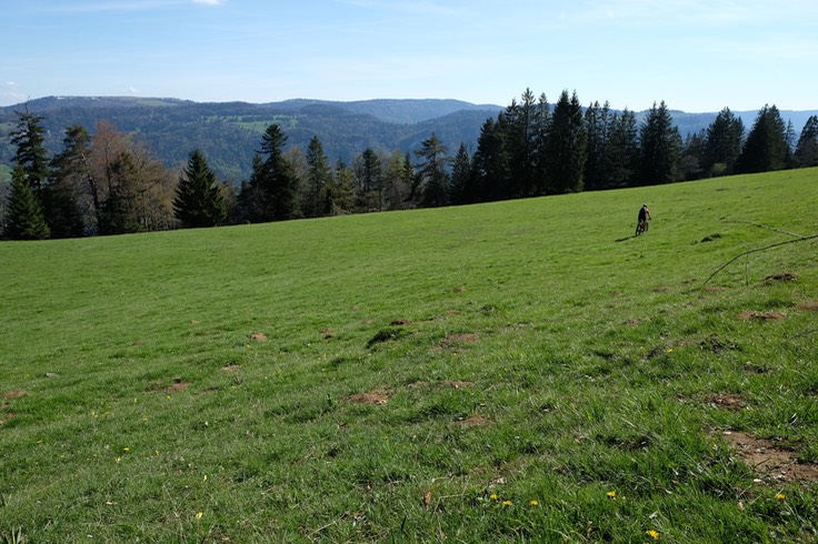 DSCF3859.jpg