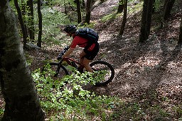 DSCF3871.jpg