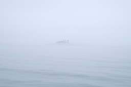 DSCF4664.jpg