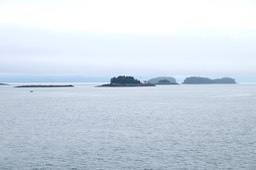 DSCF4787.jpg