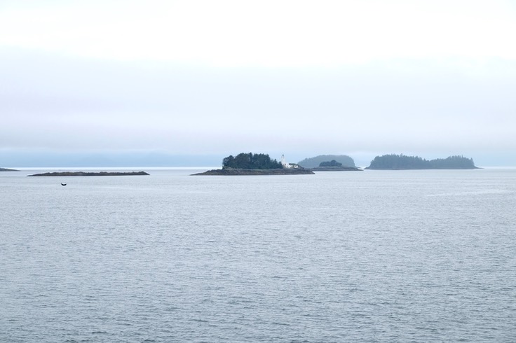 DSCF4787.jpg