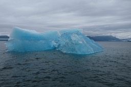 DSCF4850.jpg