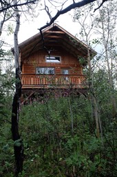 DSCF4981.jpg