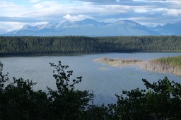 DSCF5016.jpg