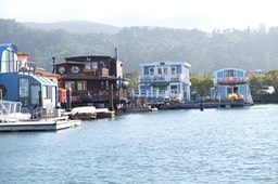 DSCF5440.jpg