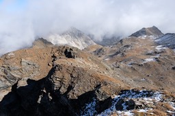 DSCF6204