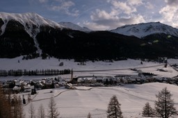 DSCF6465