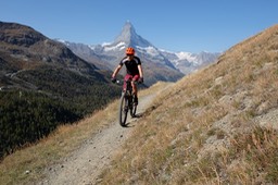 DSCF6532.jpg