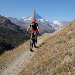 DSCF6532.jpg