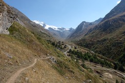 DSCF6687