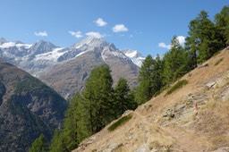 DSCF6688