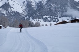 DSCF6850