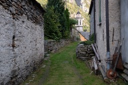DSCF7206