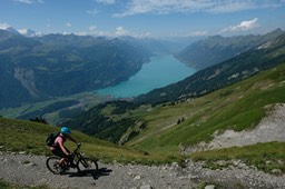 DSCF7694