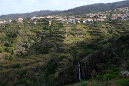 DSCF7741
