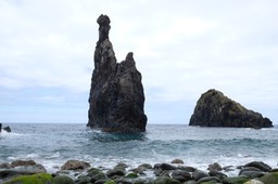 DSCF7965