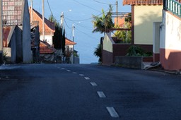 DSCF8028