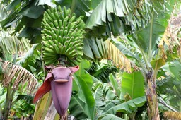 DSCF8061