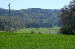 DSCF8246
