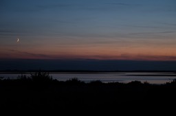 DSCF9519