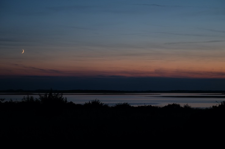 DSCF9519