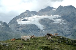 DSCF9764
